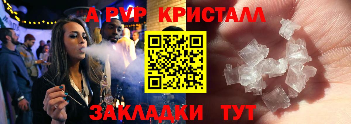A-PVP СК Балашиха