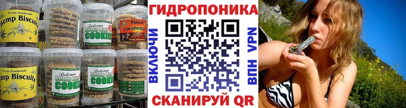 где можно купить наркотик  Балашиха  Cannafood конопля 