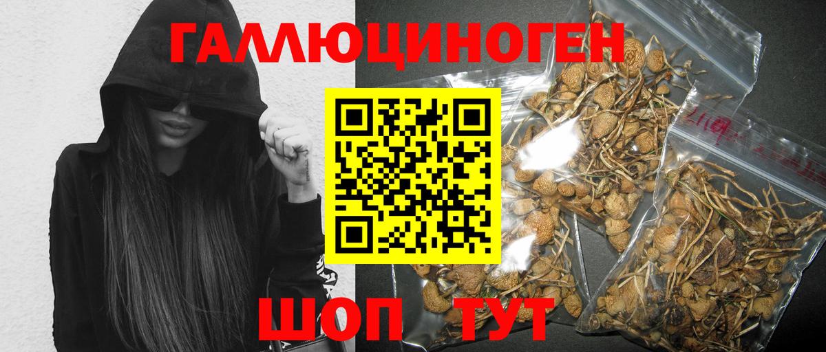 Псилоцибиновые грибы GOLDEN TEACHER  купить наркоту  Псилоцибиновые грибы Psilocybine cubensis  Балашиха  Вход с VPN 