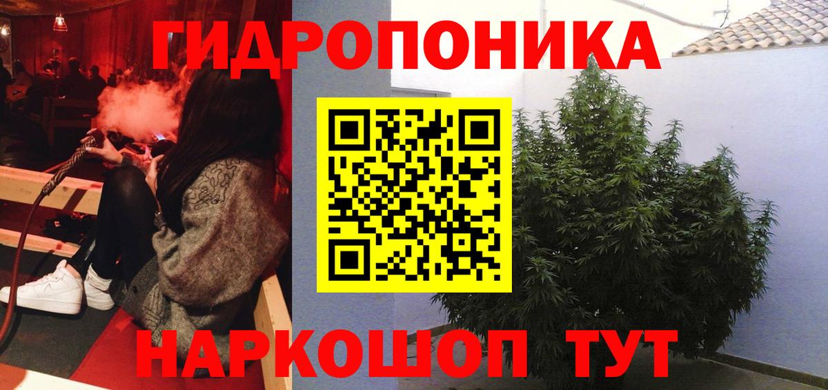 Конопля марихуана  Вход с VPN  Балашиха  Шишки марихуана семена  Бошки Шишки OG Kush 